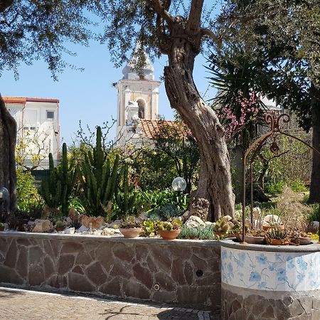 Villa Kalimera Sorrento Exteriör bild