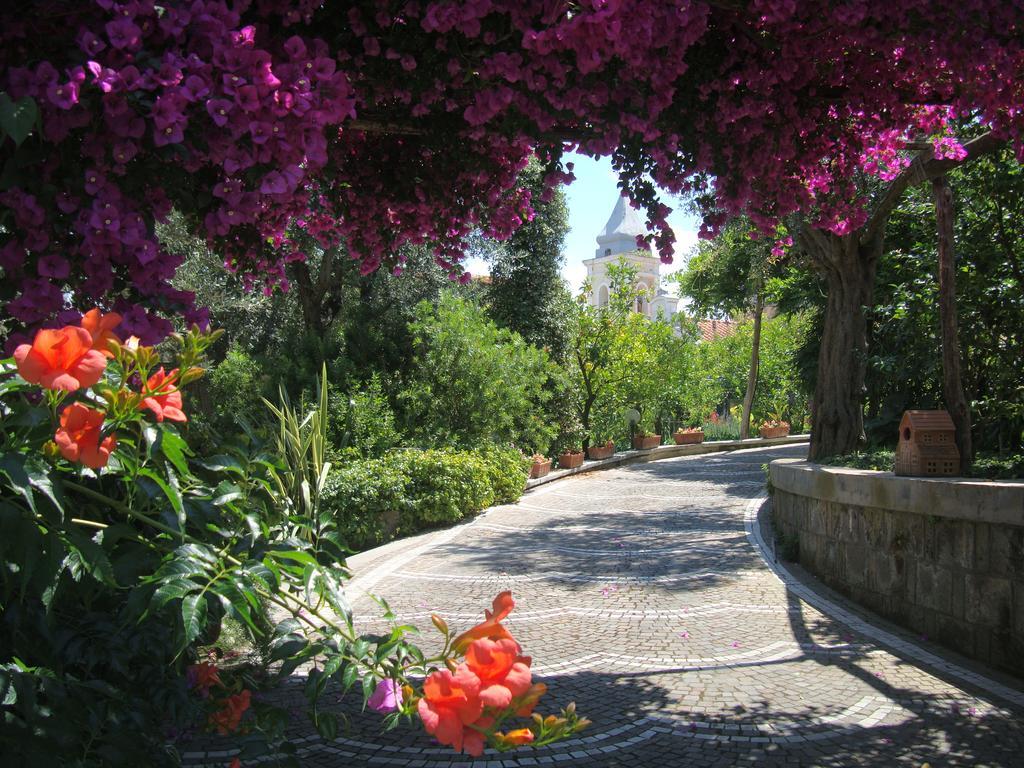 Villa Kalimera Sorrento Exteriör bild
