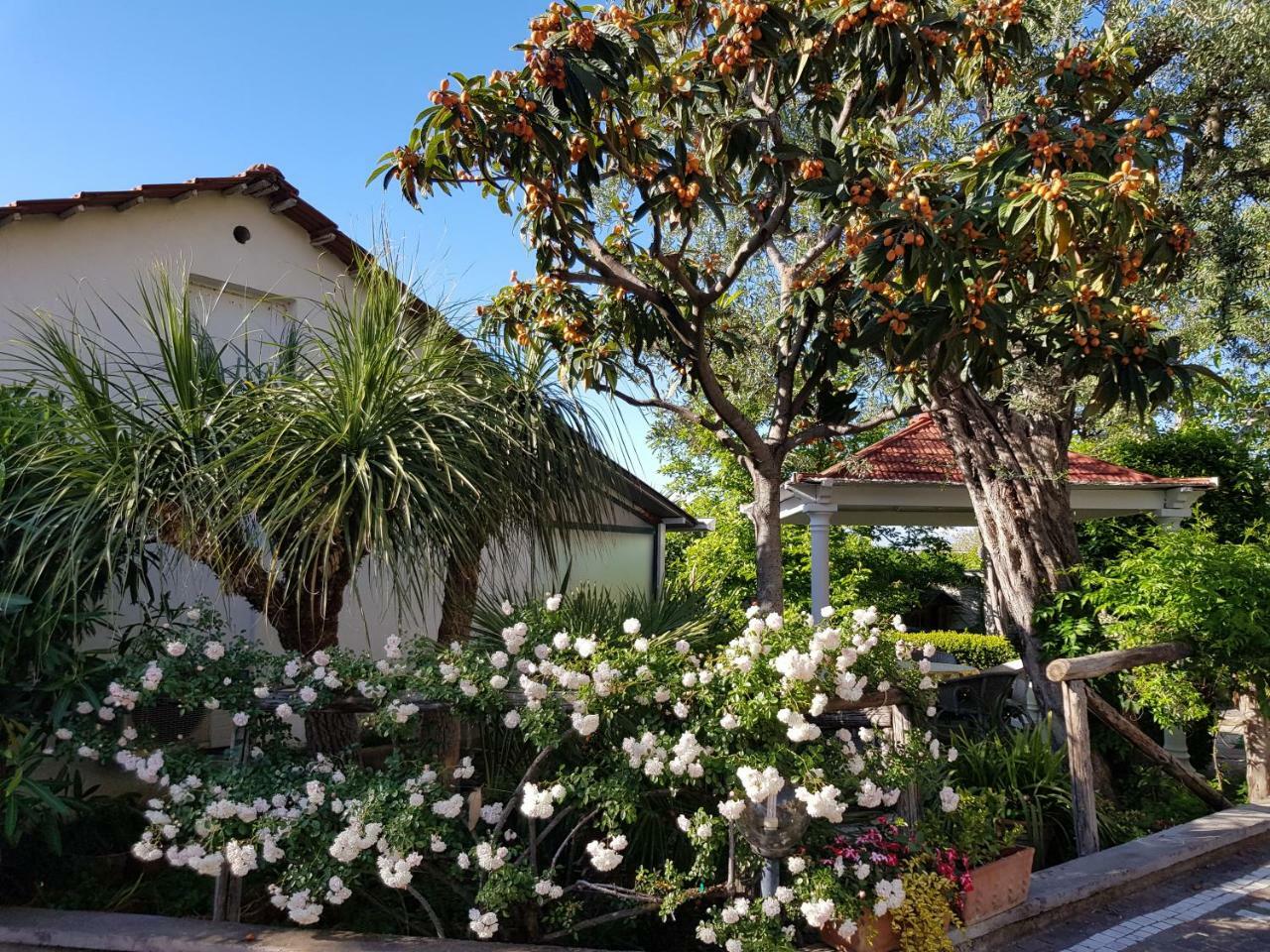 Villa Kalimera Sorrento Exteriör bild